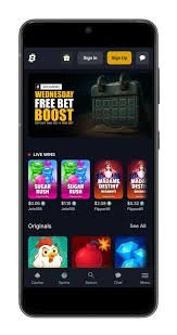 Comprehensive Bitfortune Support and Help Guide -1331210074