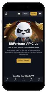 Comprehensive Guide to Setting Up Your Bitfortune Withdrawals Wallet
