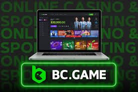 Exploring the BC.CO Mirror A Comprehensive Guide