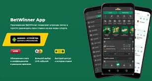 Explore the BetWinner Gambling Platform Features, Benefits, and Strategies
