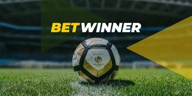 Exploring BetWinner Casino The Ultimate Betting Experience